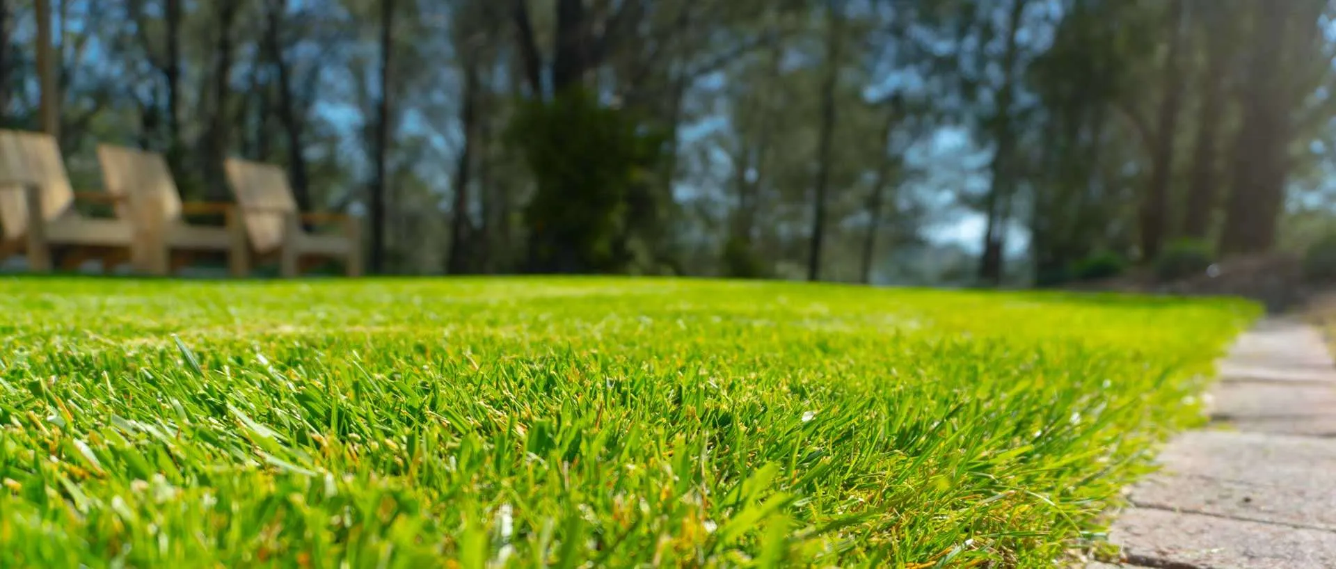 Seu Jardin Sin Mosquitos